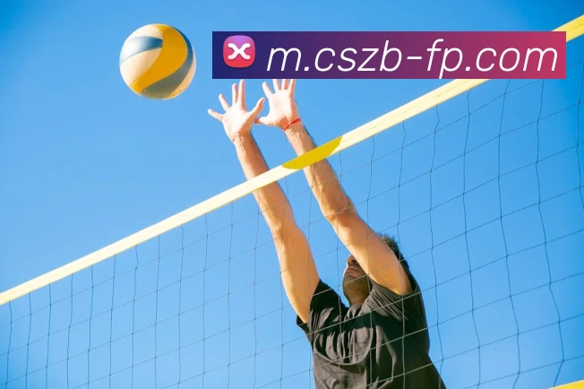 彩神争霸服务体系